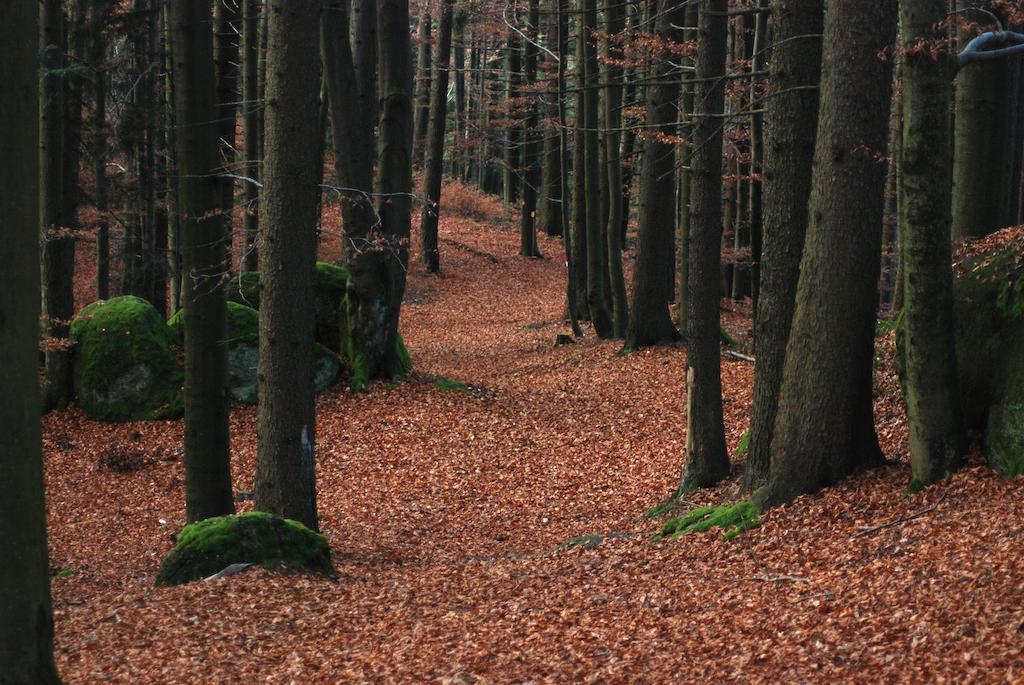Gasthof Und Pension Haunschmid Rechberg Kültér fotó