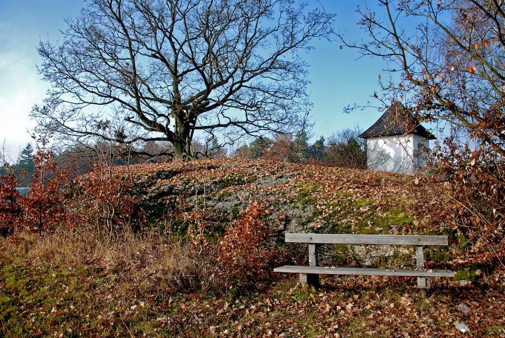 Gasthof Und Pension Haunschmid Rechberg Kültér fotó